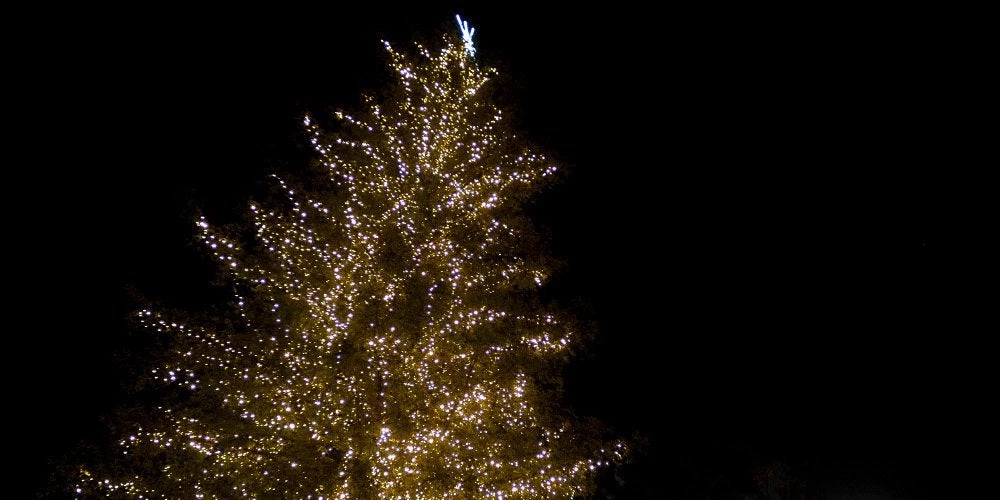 Τα ήθη και τα έθιμα της Πρωτοχρονιάς – Πώς υποδεχόμαστε οι Έλληνες το νέο έτος